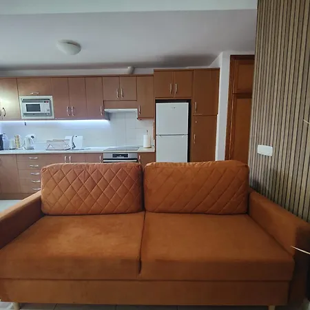 Apartament 1 Bedroom In The Center Of